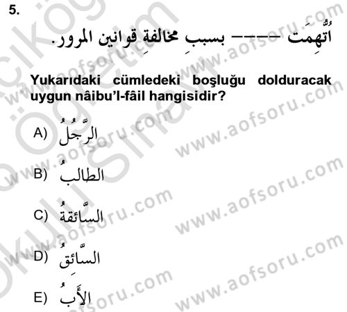 Arapça 3 Dersi 2025 - 2026 Yılı Yaz Okulu Sınav Soruları 5. Soru