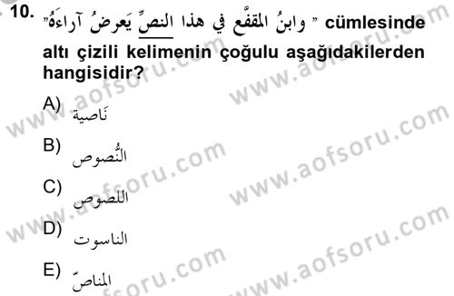 Arapça 4 Dersi 2012 - 2013 Yılı (Final) Dönem Sonu Sınav Soruları 10. Soru