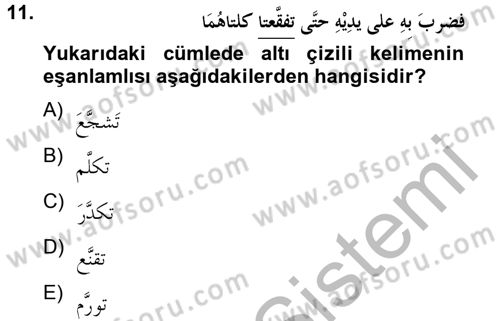 Arapça 4 Dersi 2012 - 2013 Yılı (Final) Dönem Sonu Sınav Soruları 11. Soru
