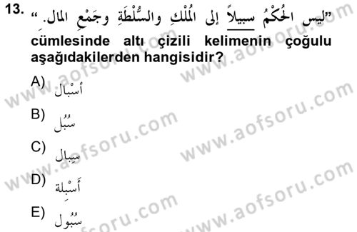 Arapça 4 Dersi 2012 - 2013 Yılı (Final) Dönem Sonu Sınav Soruları 13. Soru