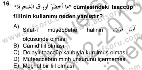Arapça 4 Dersi 2012 - 2013 Yılı (Final) Dönem Sonu Sınav Soruları 16. Soru