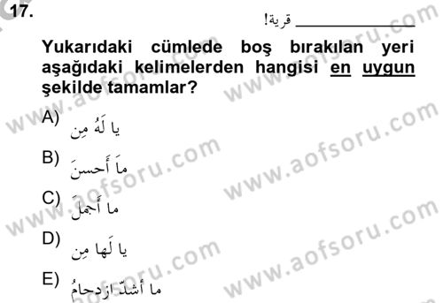 Arapça 4 Dersi 2012 - 2013 Yılı (Final) Dönem Sonu Sınav Soruları 17. Soru