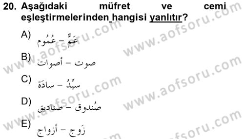 Arapça 4 Dersi 2012 - 2013 Yılı (Final) Dönem Sonu Sınav Soruları 20. Soru