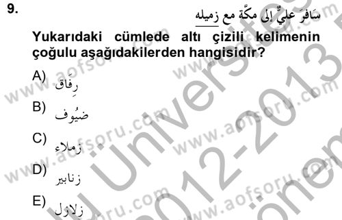 Arapça 4 Dersi 2012 - 2013 Yılı (Final) Dönem Sonu Sınav Soruları 9. Soru