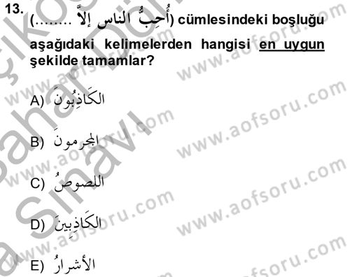 Arapça 4 Dersi 2013 - 2014 Yılı (Vize) Ara Sınav Soruları 13. Soru