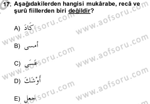Arapça 4 Dersi 2013 - 2014 Yılı (Vize) Ara Sınav Soruları 17. Soru