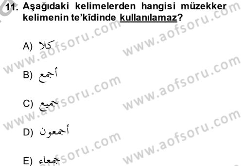 Arapça 4 Dersi 2013 - 2014 Yılı (Final) Dönem Sonu Sınav Soruları 11. Soru