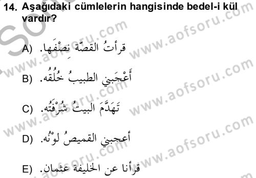 Arapça 4 Dersi 2013 - 2014 Yılı (Final) Dönem Sonu Sınav Soruları 14. Soru