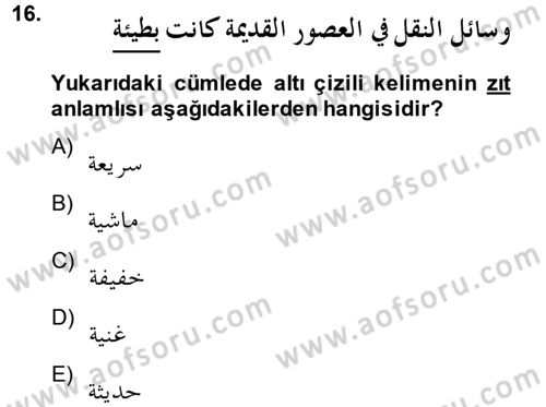 Arapça 4 Dersi 2013 - 2014 Yılı (Final) Dönem Sonu Sınav Soruları 16. Soru