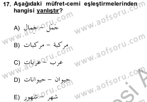 Arapça 4 Dersi 2013 - 2014 Yılı (Final) Dönem Sonu Sınav Soruları 17. Soru