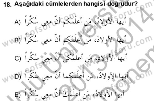 Arapça 4 Dersi 2013 - 2014 Yılı (Final) Dönem Sonu Sınav Soruları 18. Soru