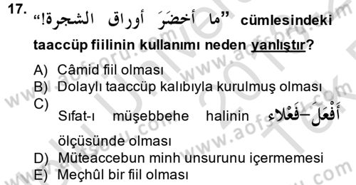 Arapça 4 Dersi 2013 - 2014 Yılı Tek Ders Sınav Soruları 17. Soru