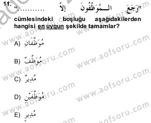 Arapça 4 Dersi 2014 - 2015 Yılı (Vize) Ara Sınav Soruları 11. Soru