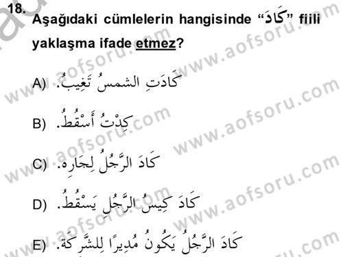 Arapça 4 Dersi 2014 - 2015 Yılı (Vize) Ara Sınav Soruları 18. Soru