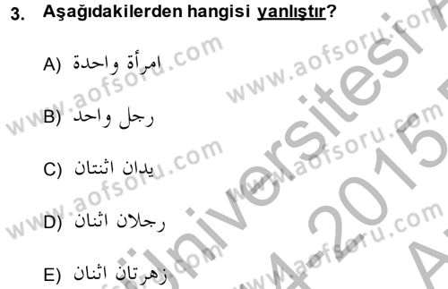 Arapça 4 Dersi 2014 - 2015 Yılı (Vize) Ara Sınav Soruları 3. Soru