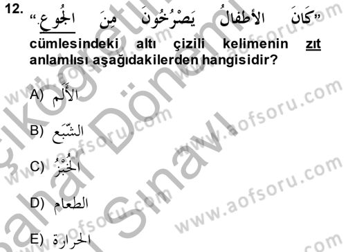 Arapça 4 Dersi 2014 - 2015 Yılı (Final) Dönem Sonu Sınav Soruları 12. Soru
