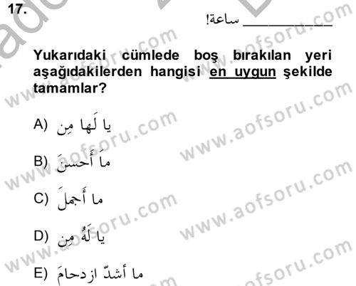 Arapça 4 Dersi 2014 - 2015 Yılı (Final) Dönem Sonu Sınav Soruları 17. Soru