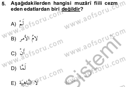 Arapça 4 Dersi 2014 - 2015 Yılı (Final) Dönem Sonu Sınav Soruları 5. Soru
