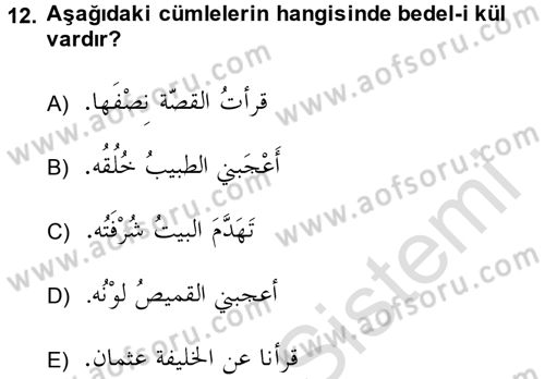 Arapça 4 Dersi 2014 - 2015 Yılı Tek Ders Sınav Soruları 12. Soru