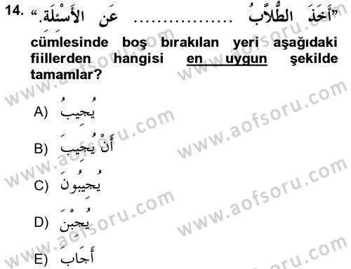 Arapça 4 Dersi 2015 - 2016 Yılı (Vize) Ara Sınav Soruları 14. Soru
