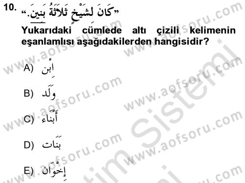 Arapça 4 Dersi 2015 - 2016 Yılı (Final) Dönem Sonu Sınav Soruları 10. Soru