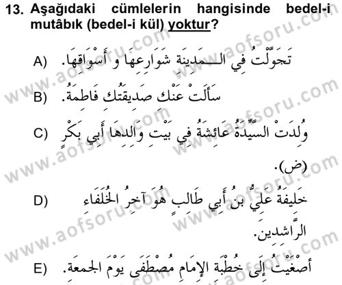 Arapça 4 Dersi 2015 - 2016 Yılı (Final) Dönem Sonu Sınav Soruları 13. Soru