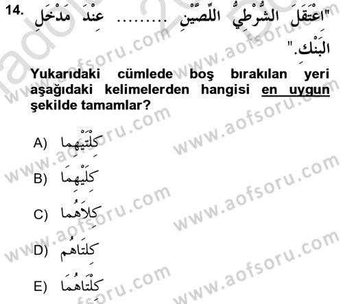 Arapça 4 Dersi 2015 - 2016 Yılı (Final) Dönem Sonu Sınav Soruları 14. Soru