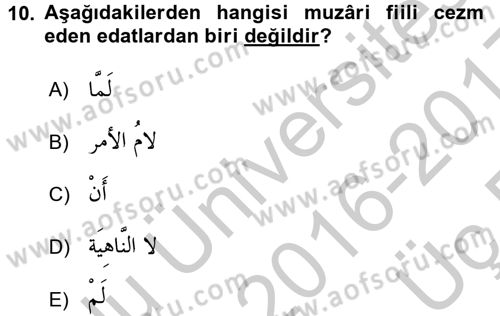 Arapça 4 Dersi 2016 - 2017 Yılı 3 Ders Sınav Soruları 10. Soru