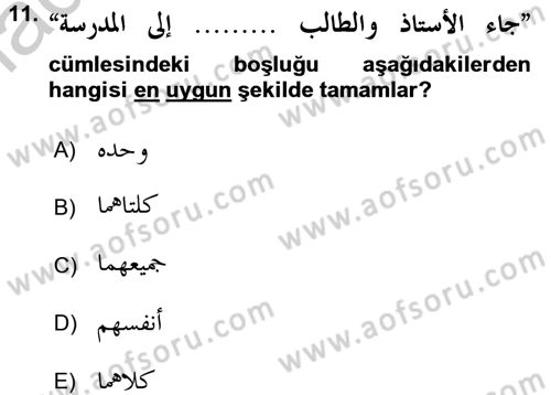 Arapça 4 Dersi 2016 - 2017 Yılı 3 Ders Sınav Soruları 11. Soru