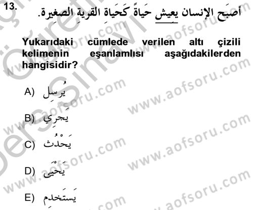 Arapça 4 Dersi 2016 - 2017 Yılı 3 Ders Sınav Soruları 13. Soru