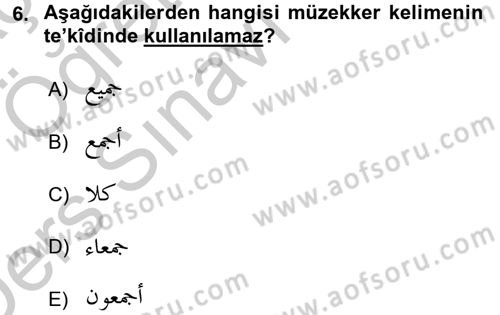 Arapça 4 Dersi 2016 - 2017 Yılı 3 Ders Sınav Soruları 6. Soru