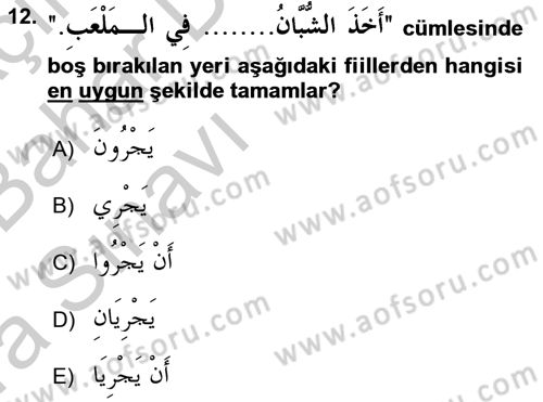 Arapça 4 Dersi 2016 - 2017 Yılı (Vize) Ara Sınav Soruları 12. Soru