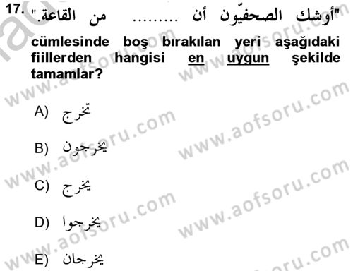 Arapça 4 Dersi 2016 - 2017 Yılı (Vize) Ara Sınav Soruları 17. Soru
