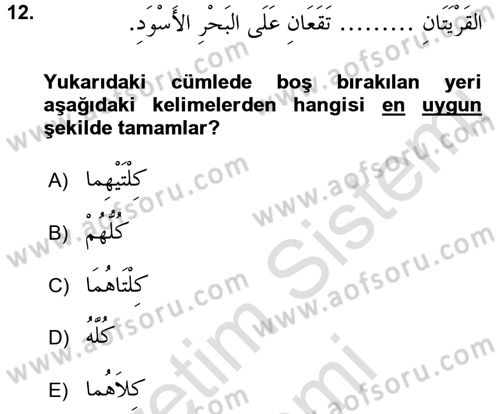 Arapça 4 Dersi 2016 - 2017 Yılı (Final) Dönem Sonu Sınav Soruları 12. Soru