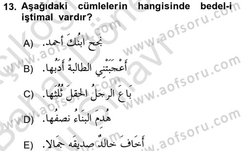 Arapça 4 Dersi 2016 - 2017 Yılı (Final) Dönem Sonu Sınav Soruları 13. Soru
