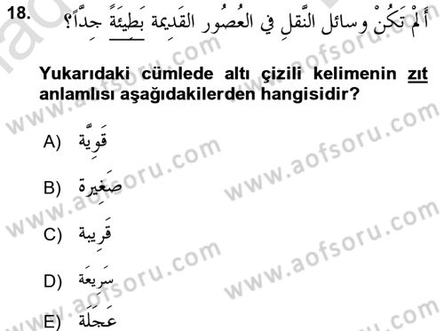 Arapça 4 Dersi 2016 - 2017 Yılı (Final) Dönem Sonu Sınav Soruları 18. Soru