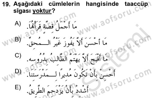 Arapça 4 Dersi 2016 - 2017 Yılı (Final) Dönem Sonu Sınav Soruları 19. Soru
