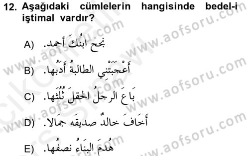 Arapça 4 Dersi 2017 - 2018 Yılı 3 Ders Sınav Soruları 12. Soru