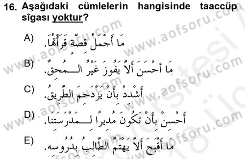 Arapça 4 Dersi 2017 - 2018 Yılı 3 Ders Sınav Soruları 16. Soru