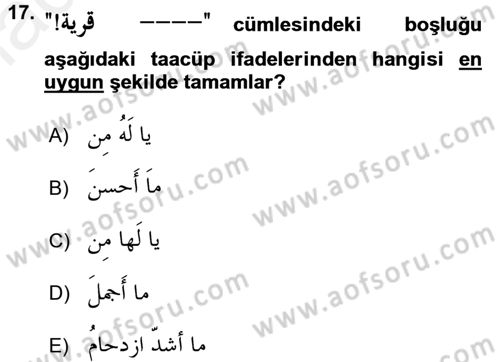 Arapça 4 Dersi 2017 - 2018 Yılı 3 Ders Sınav Soruları 17. Soru