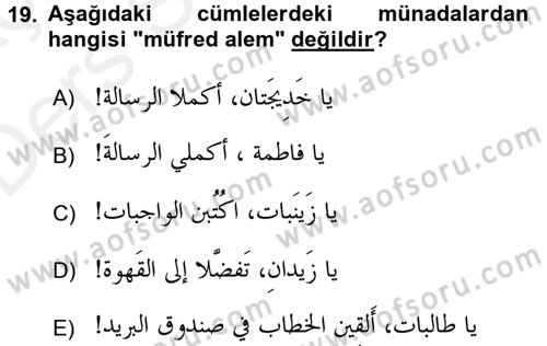Arapça 4 Dersi 2017 - 2018 Yılı 3 Ders Sınav Soruları 19. Soru