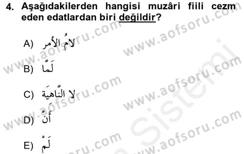 Arapça 4 Dersi 2017 - 2018 Yılı 3 Ders Sınav Soruları 4. Soru