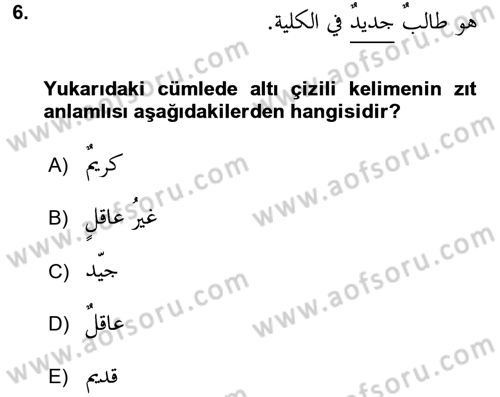 Arapça 4 Dersi 2017 - 2018 Yılı 3 Ders Sınav Soruları 6. Soru