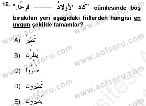 Arapça 4 Dersi 2017 - 2018 Yılı (Vize) Ara Sınav Soruları 16. Soru