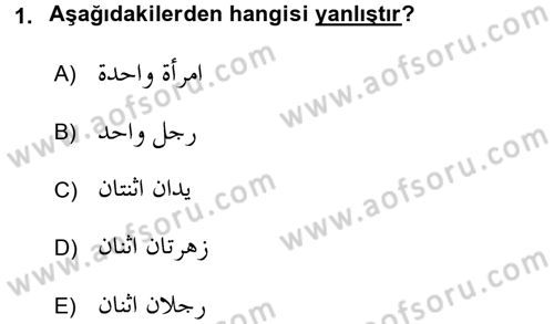Arapça 4 Dersi 2017 - 2018 Yılı (Final) Dönem Sonu Sınav Soruları 1. Soru