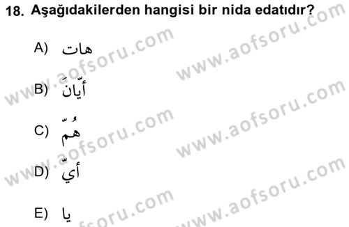 Arapça 4 Dersi 2018 - 2019 Yılı 3 Ders Sınav Soruları 18. Soru
