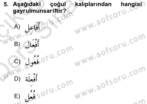 Arapça 4 Dersi 2018 - 2019 Yılı 3 Ders Sınav Soruları 5. Soru