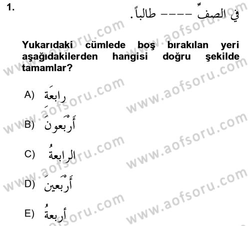 Arapça 4 Dersi 2018 - 2019 Yılı (Final) Dönem Sonu Sınavı 1. Soru