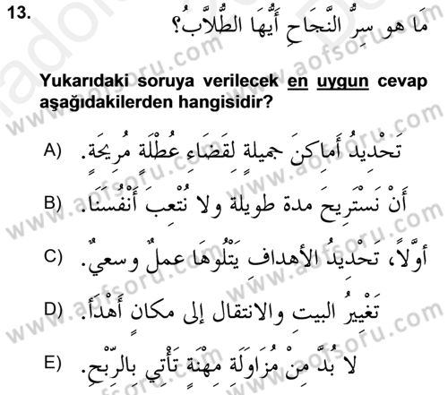 Arapça 4 Dersi 2018 - 2019 Yılı (Final) Dönem Sonu Sınavı 13. Soru