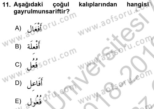 Arapça 4 Dersi 2018 - 2019 Yılı Yaz Okulu Sınav Soruları 11. Soru